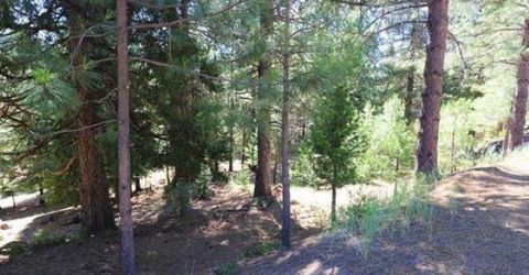 268 Osprey Loop, Lake Almanor, CA 96020 Photo