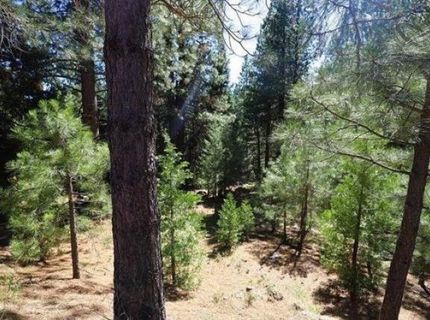 268 Osprey Loop, Lake Almanor, CA 96020 Photo