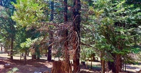 268 Osprey Loop, Lake Almanor, CA 96020 Photo