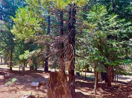 268 Osprey Loop, Lake Almanor, CA 96020 Photo