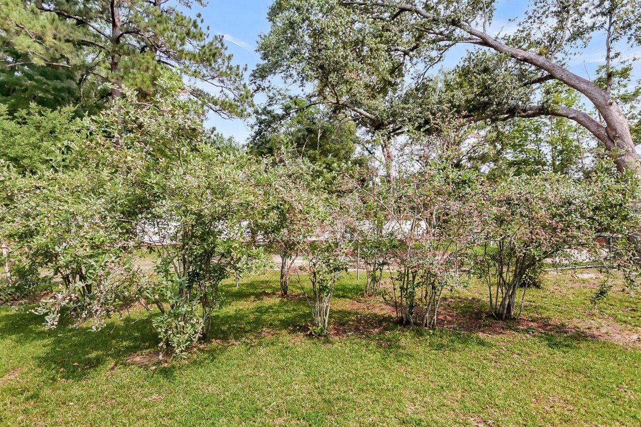 127 Roberts Road Photo 31