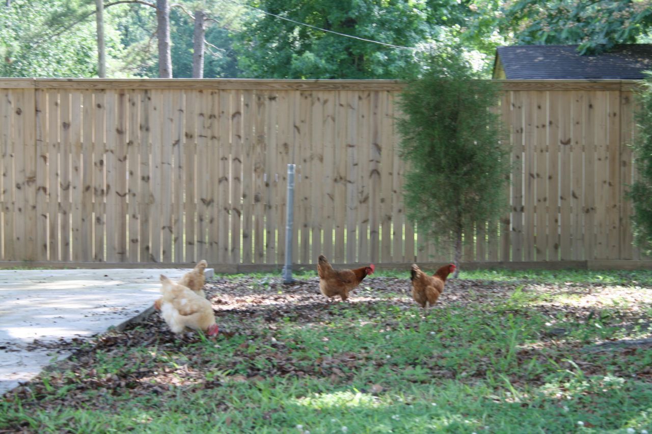 127 Roberts Road Photo 32