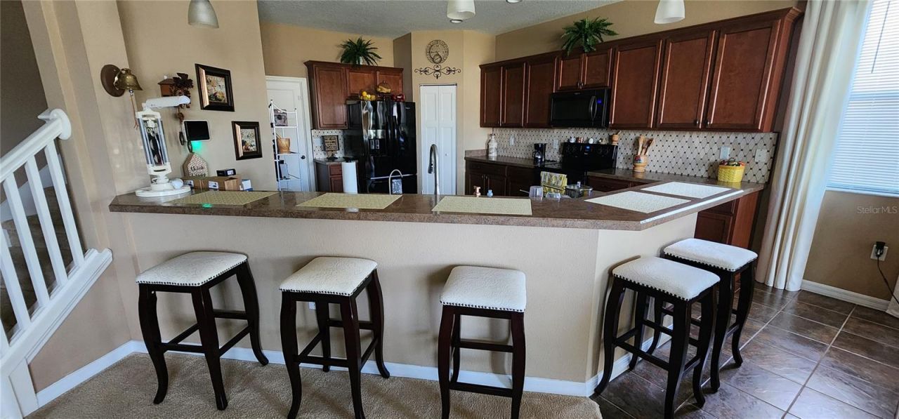 7620 Tangle Rush Drive, Gibsonton, FL 33534 Photo