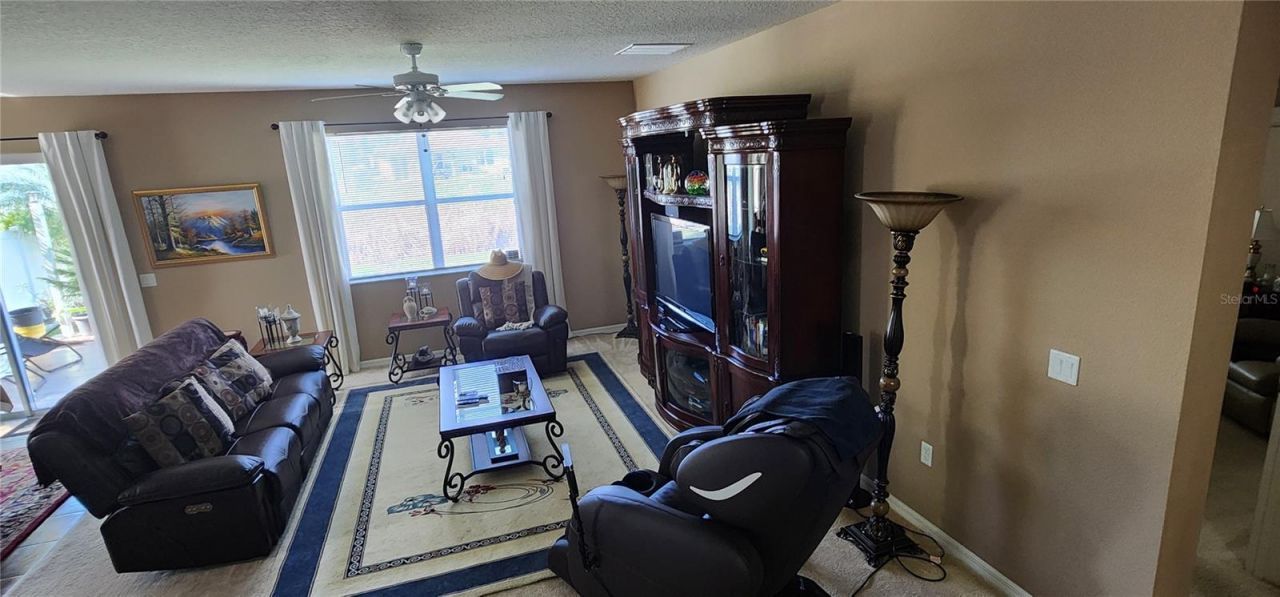 7620 Tangle Rush Drive, Gibsonton, FL 33534 Photo