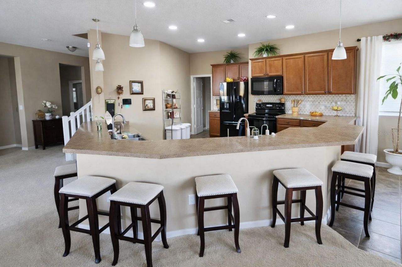 7620 Tangle Rush Drive, Gibsonton, FL 33534 Photo