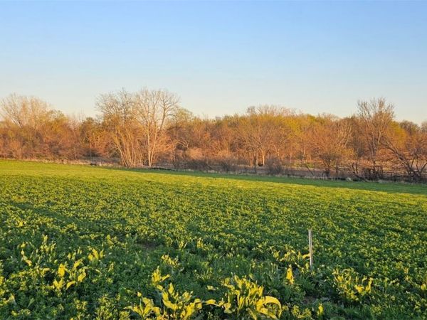 Lot 49 Timberline Estates , Riverside, IA 52327