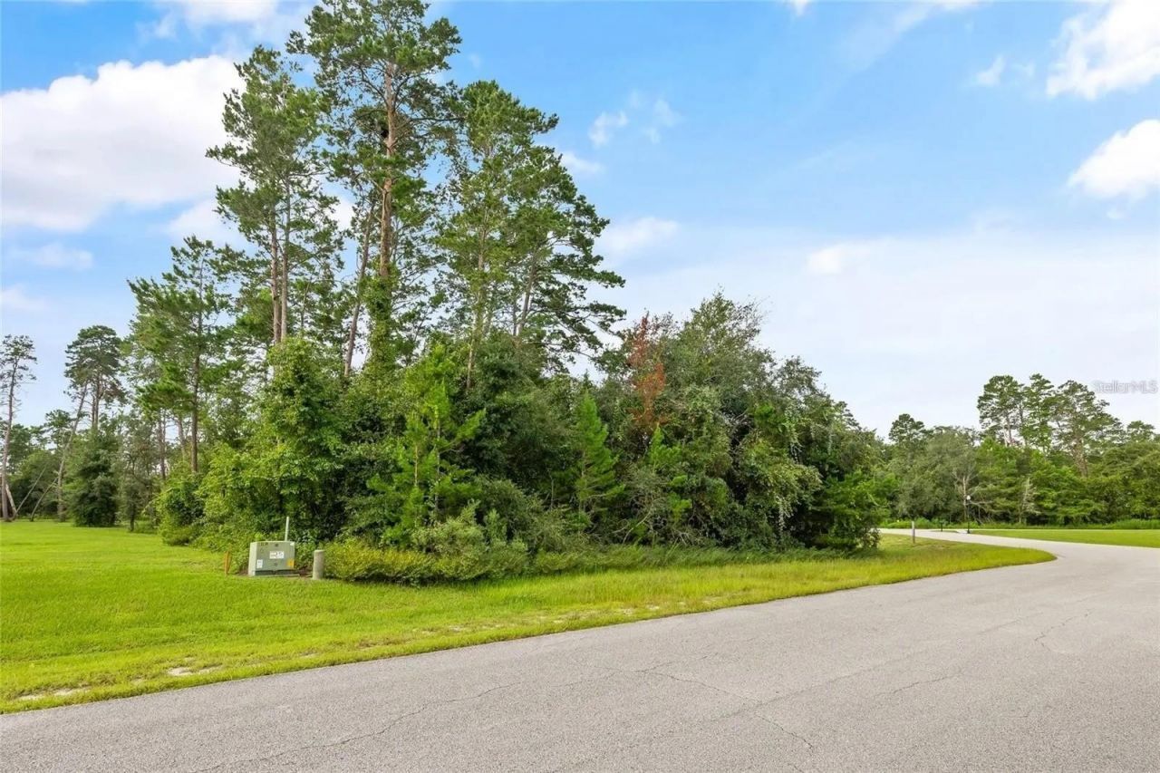 13615 Gopher Pond Ct, Hudson, FL 34669 Main Photo