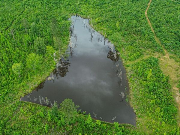 County rd 166, Houston, MS 38841