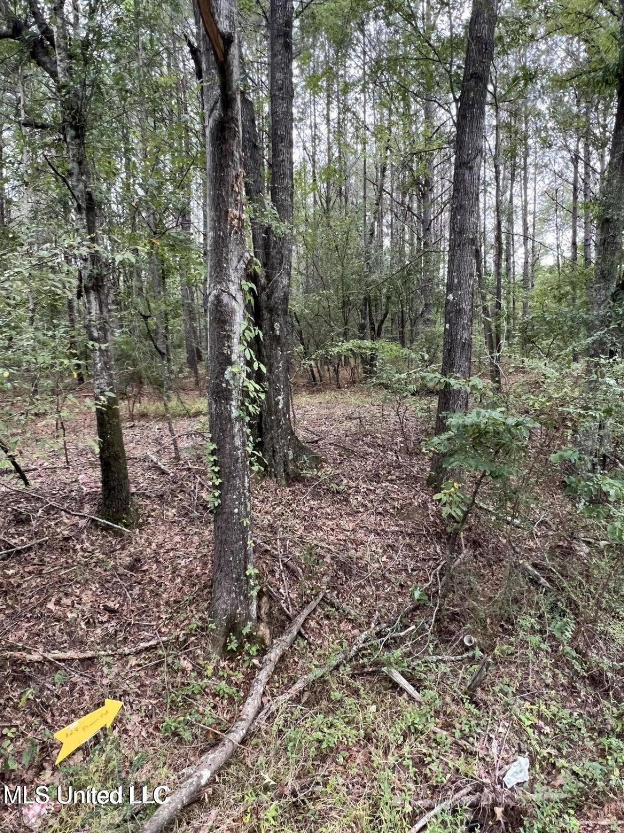 00 Dunn Road, Terry, MS 39170 Main Photo