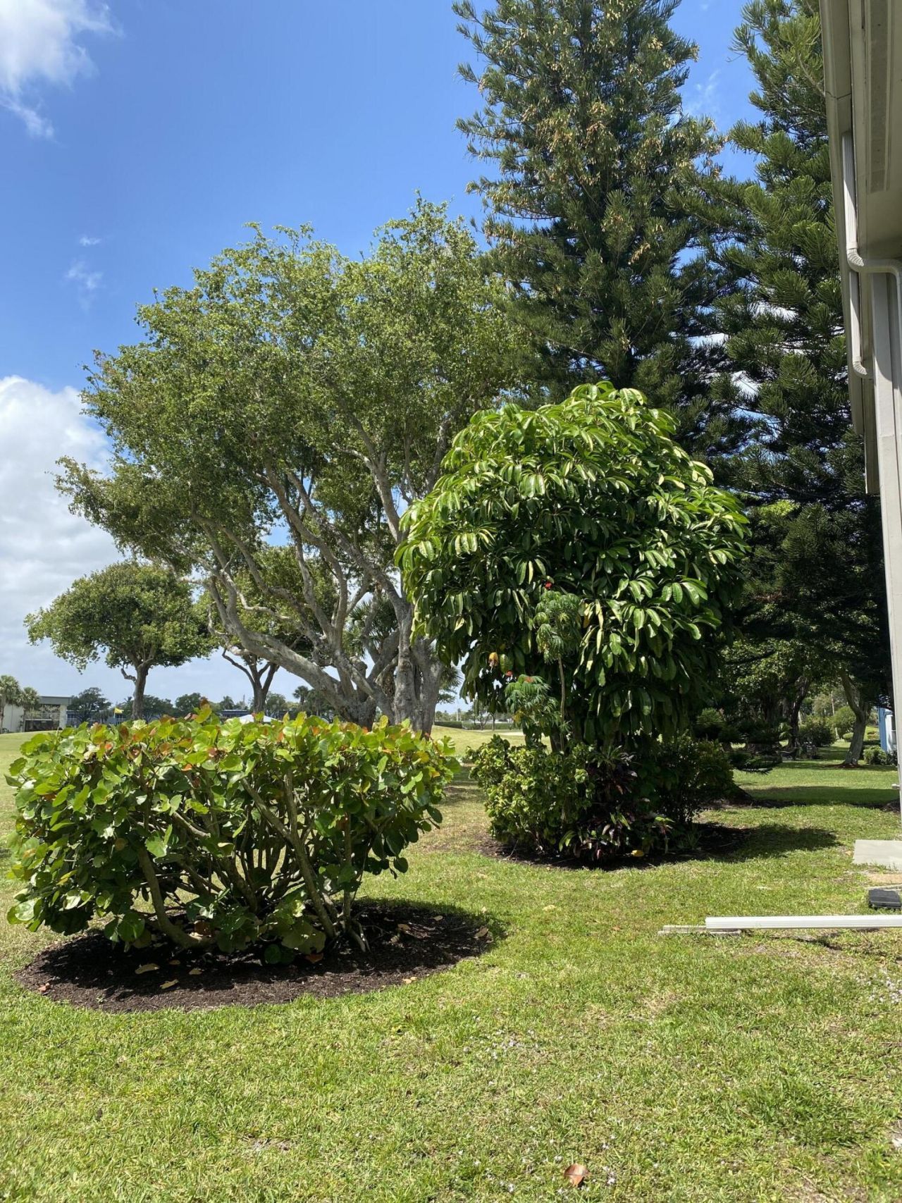 148 Normandy D, Delray Beach, FL 33484 Photo