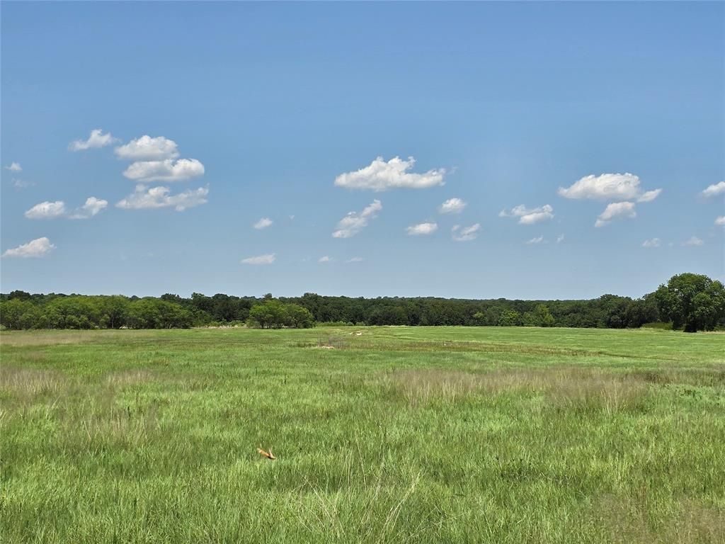 1750 County Road 173, Cisco, TX 76437 Main Photo