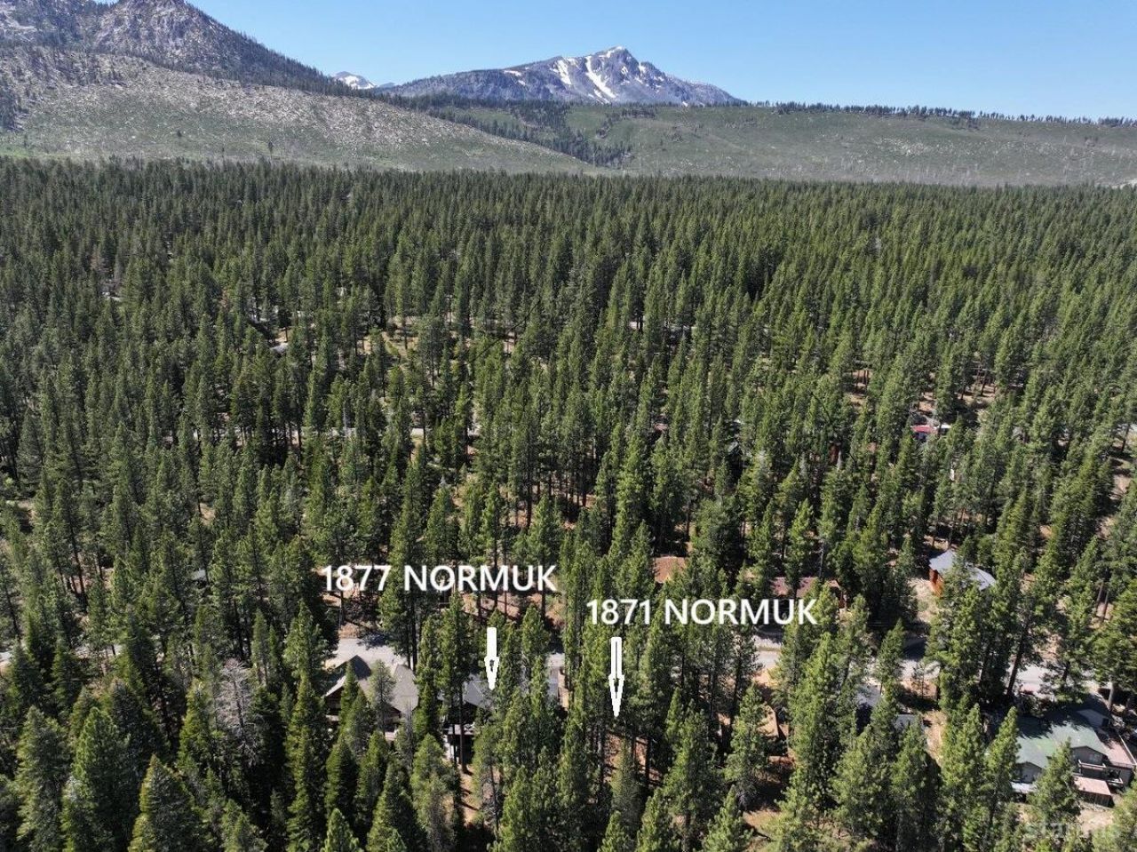 1871 Normuk Street, South Lake Tahoe, CA 96150 Photo