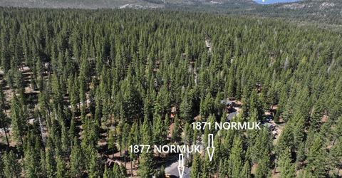1871 Normuk Street, South Lake Tahoe, CA 96150 Photo