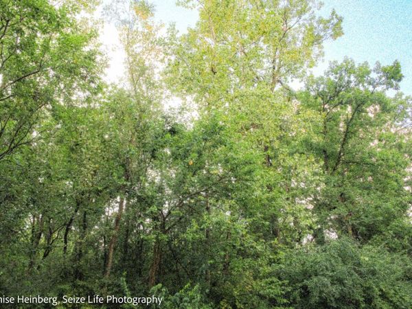 910 Echo (Lot 6) Trail, Marengo, IL 60152