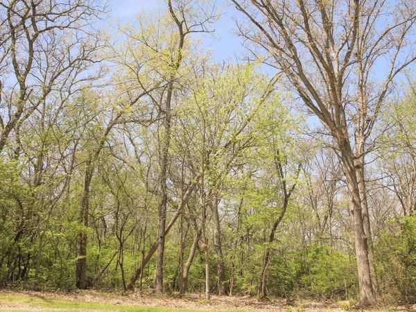 911 Echo (Lot 5) Trail, Marengo, IL 60152