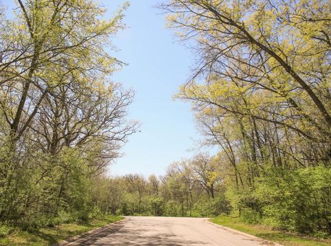 Main Photo