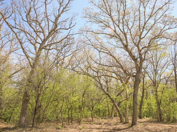 802 Echo (Lot 23) Trail, Marengo, IL 60152
