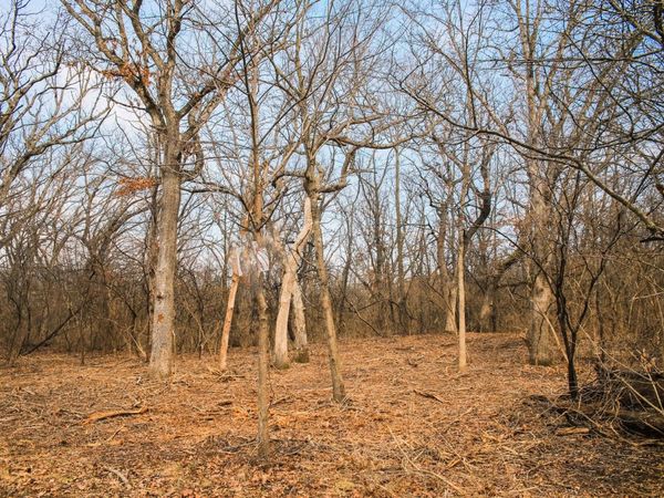 802 Echo (Lot 23) Trail, Marengo, IL 60152