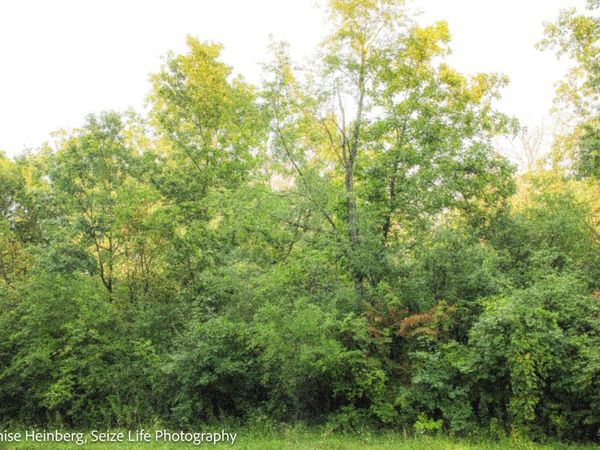 802 Echo (Lot 23) Trail, Marengo, IL 60152