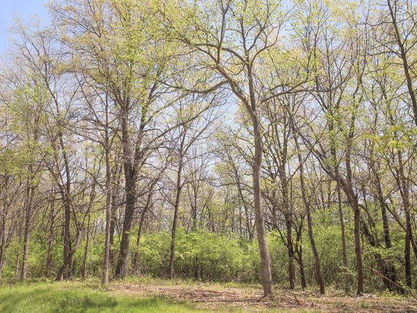 704 Echo (Lot 21) Trail, Marengo, IL 60152