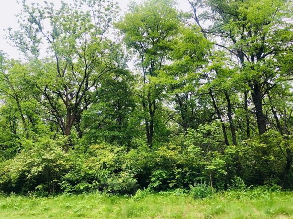 704 Echo (Lot 21) Trail, Marengo, IL 60152