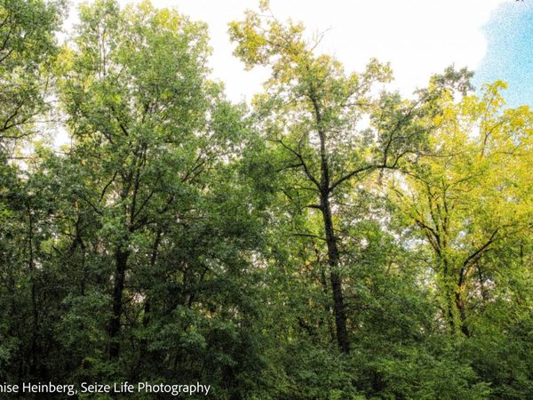 806 Echo (Lot 22) Trail, Marengo, IL 60152