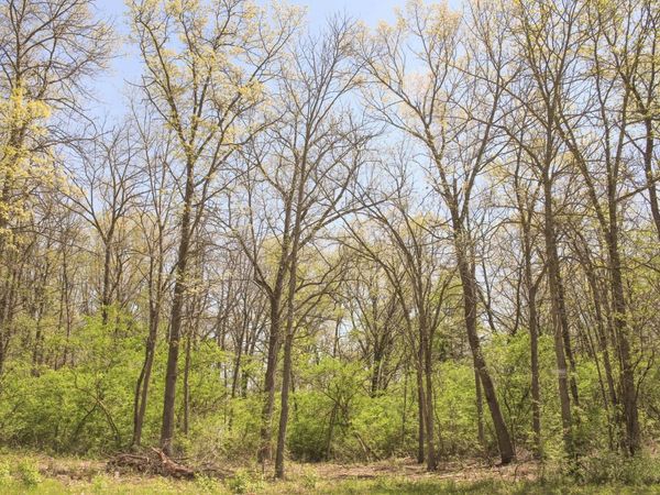 806 Echo (Lot 22) Trail, Marengo, IL 60152