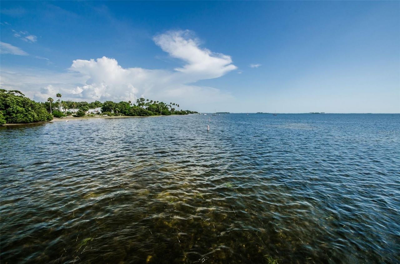 394 Georgia Avenue, Crystal Beach, FL 34681 Photo