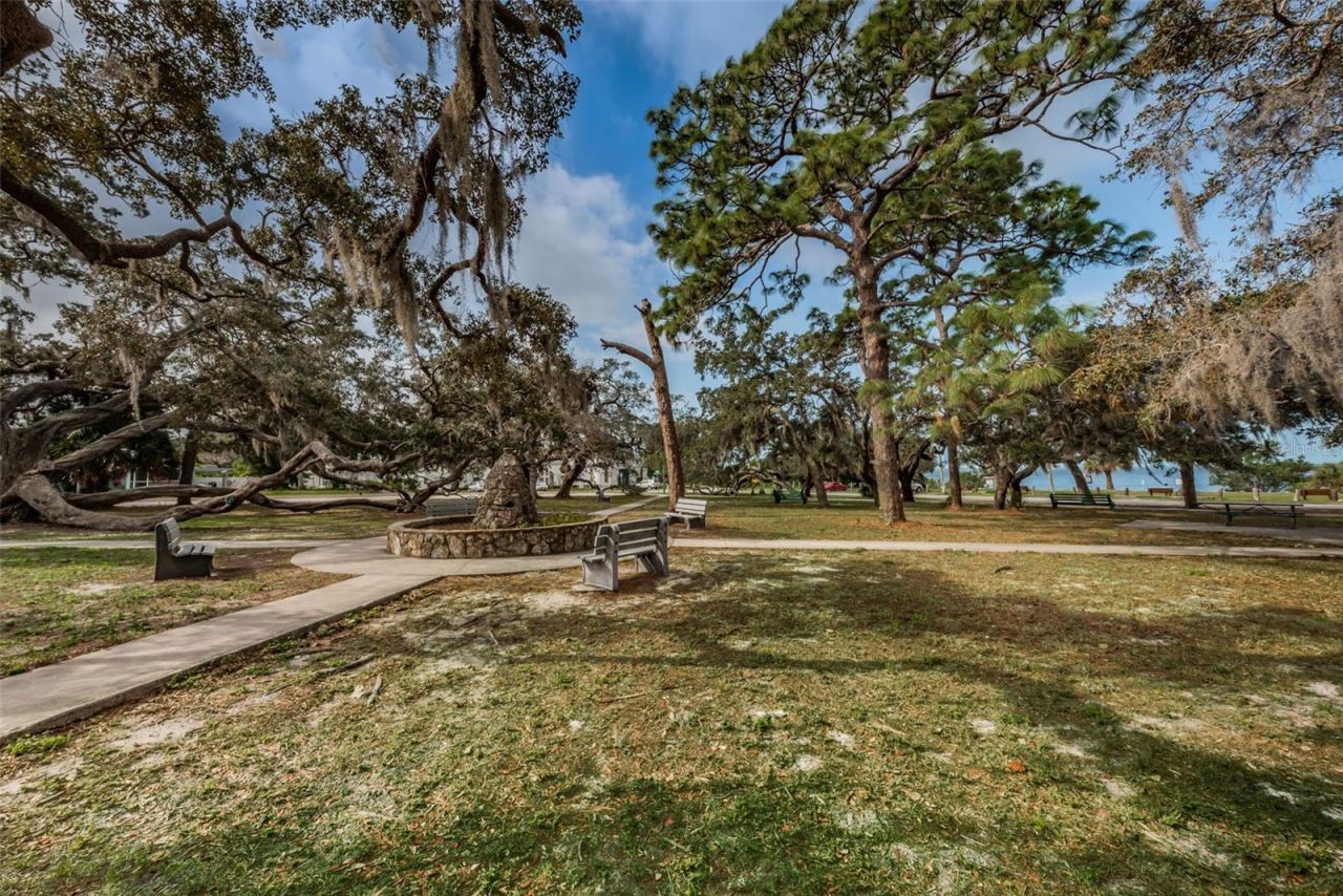 394 Georgia Avenue, Crystal Beach, FL 34681 Photo