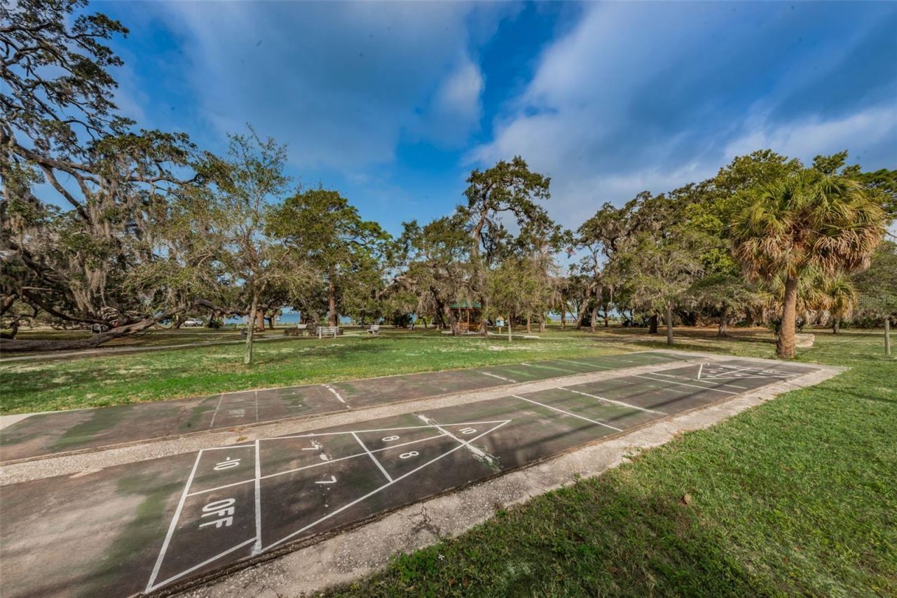 394 Georgia Avenue, Crystal Beach, FL 34681 Photo