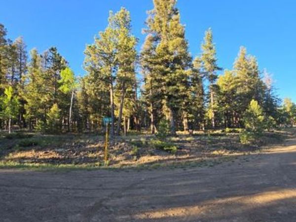 Chubb Court, Buena Vista, CO 81211