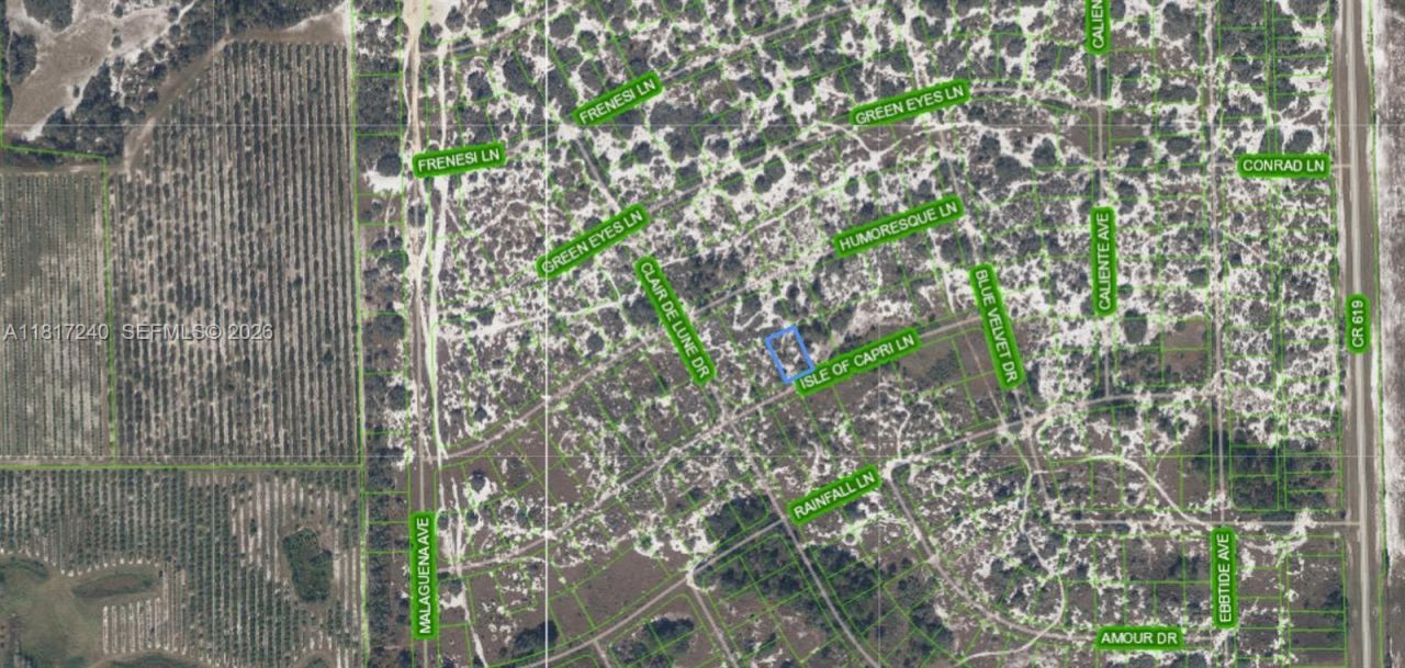 462 Isle Of Capri Ln, Lake Placid, FL 33852 Photo