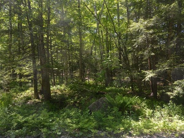 Lot 155 Chippewa Drive, Becket, MA 01223