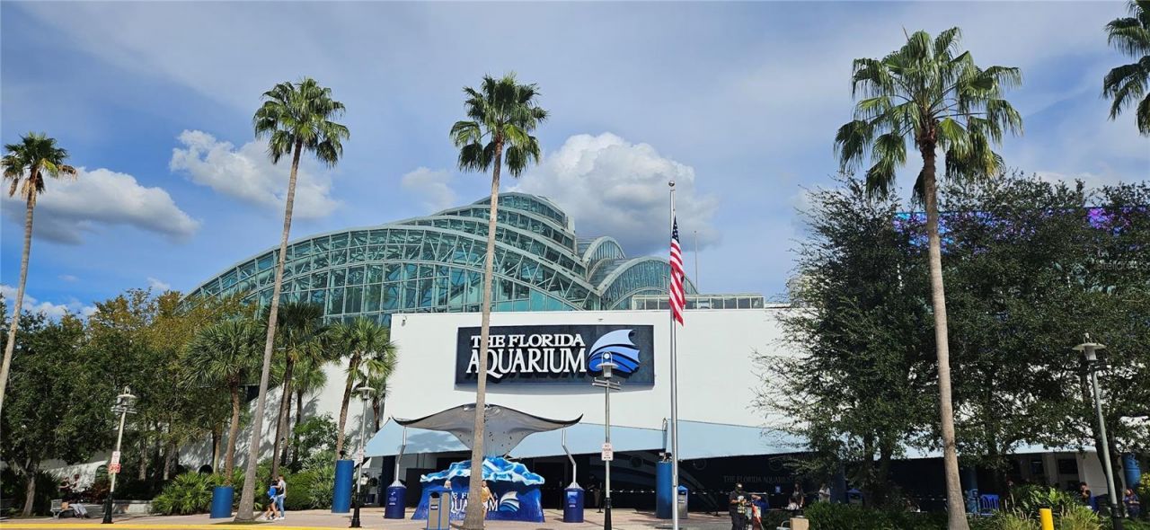 2328 W La Salle Street, Tampa, FL 33607 Photo