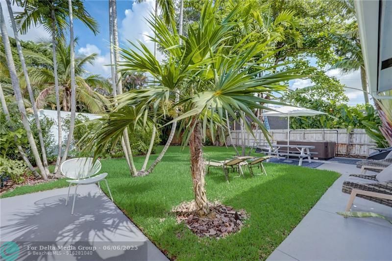 50 NE 30th Court, Wilton Manors, FL 33334 Photo
