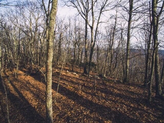 0 Wolf Creek Hwy, Narrows, VA 24124 Main Photo