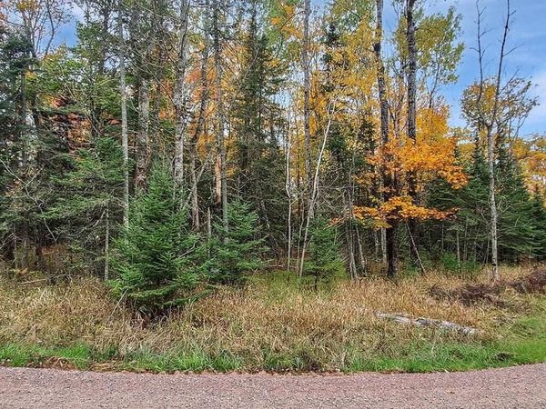 Lot 1, Block 1 Raspberry Trl, La Pointe, WI 54850