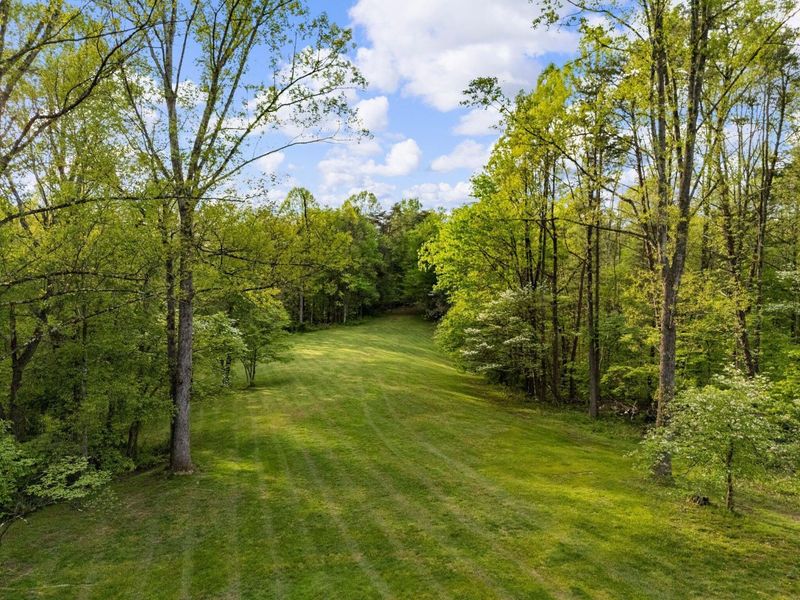 26975 Chapel Ridge Road, South Bloomingville, OH 43152 Photo 12