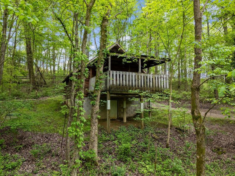 26975 Chapel Ridge Road, South Bloomingville, OH 43152 Photo 16