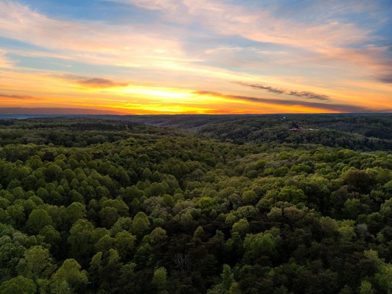 26975 Chapel Ridge Road, South Bloomingville, OH 43152 Photo 21