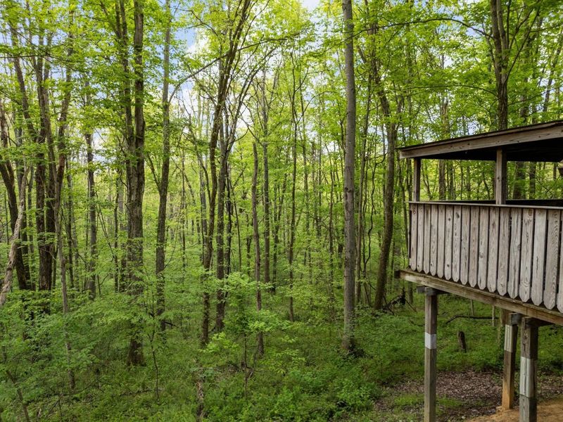 26975 Chapel Ridge Road, South Bloomingville, OH 43152 Photo 58