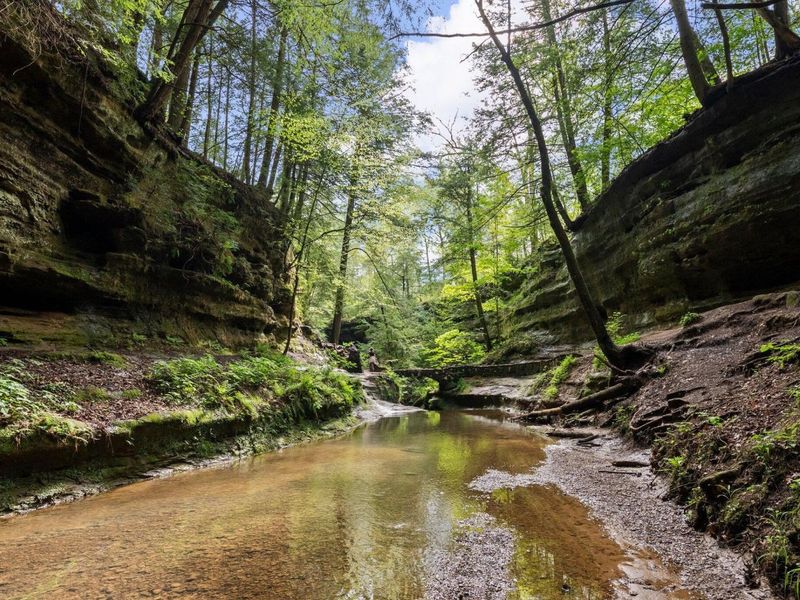 26975 Chapel Ridge Road, South Bloomingville, OH 43152 Photo 75