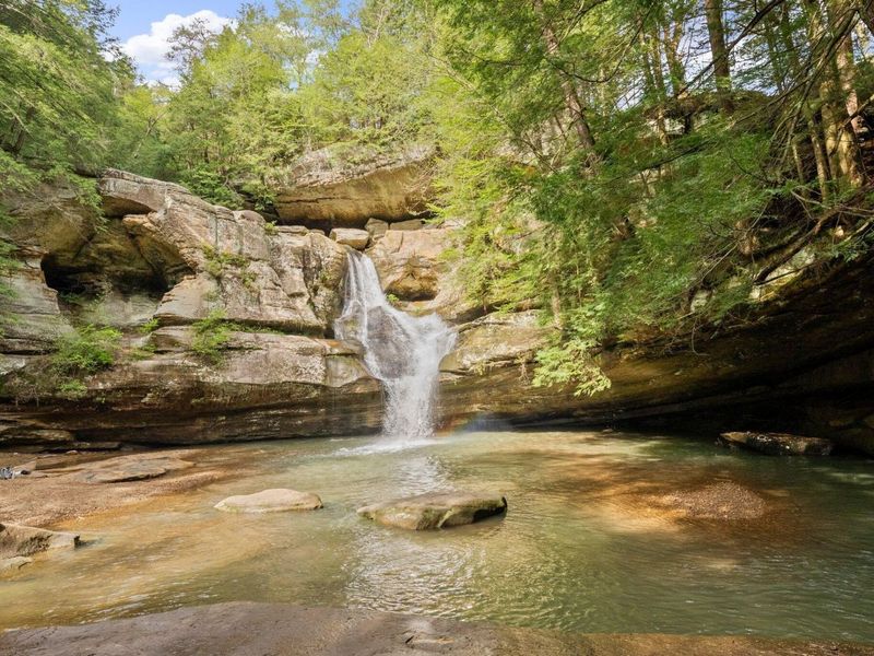 26975 Chapel Ridge Road, South Bloomingville, OH 43152 Photo 80