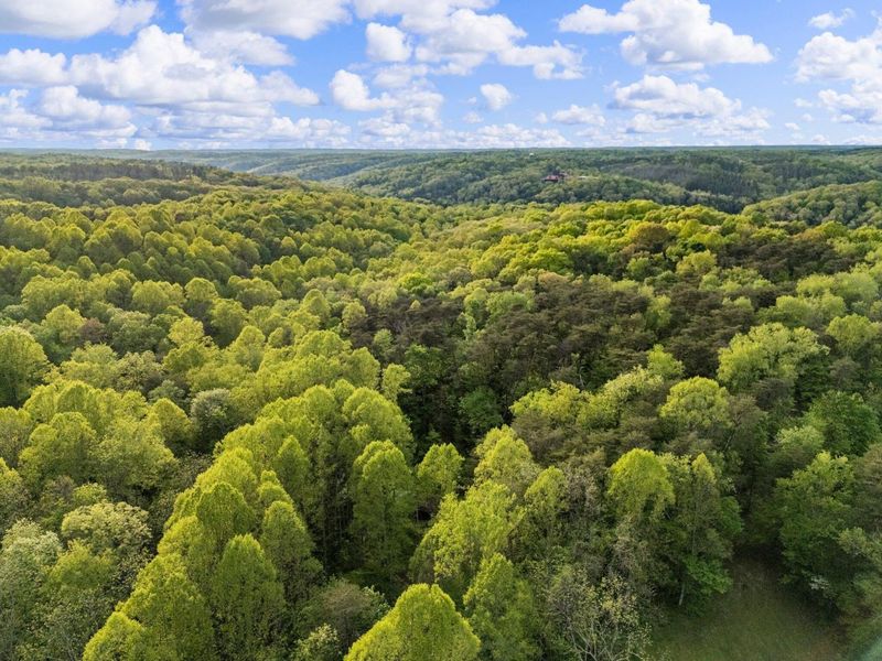 26975 Chapel Ridge Road, South Bloomingville, OH 43152 Photo 91