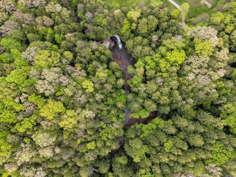 26975 Chapel Ridge Road, South Bloomingville, OH 43152 Photo 94