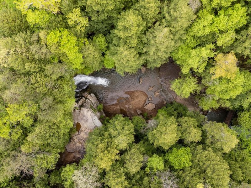 26975 Chapel Ridge Road, South Bloomingville, OH 43152 Photo 95