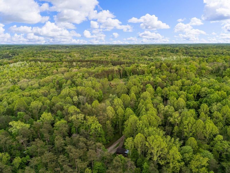 26975 Chapel Ridge Road, South Bloomingville, OH 43152 Photo 98