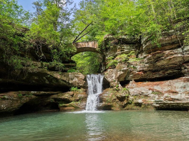 26975 Chapel Ridge Road, South Bloomingville, OH 43152 Photo 22