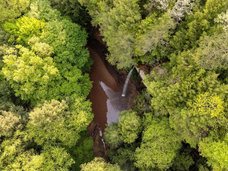 26975 Chapel Ridge Road, South Bloomingville, OH 43152 Photo 23