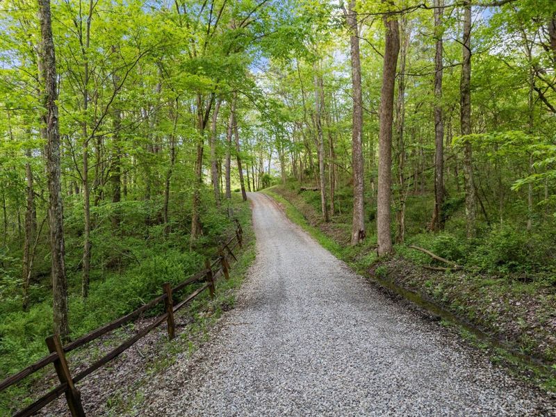 26975 Chapel Ridge Road, South Bloomingville, OH 43152 Photo 24